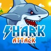 Shark Attack Realy Hungry