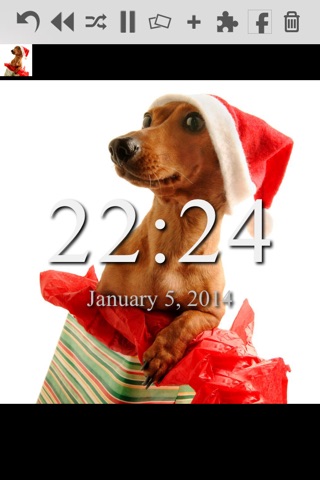 Puppies Dressed For Christmas Unlimited Wallpapers screenshot 2