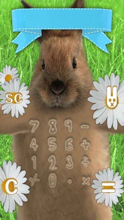 Kitten Calculator