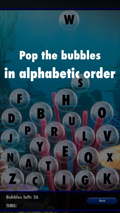 Bubble Fun Deluxe 2 screenshot-4