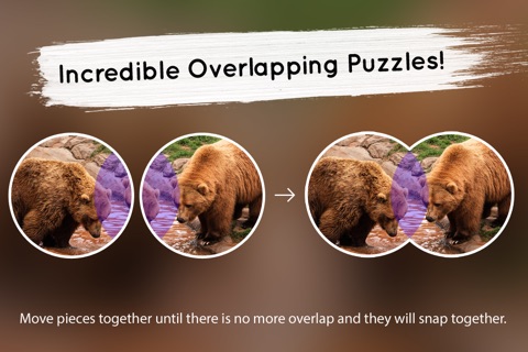 Venn Bears: Overlapping Jigsaw Puzzles screenshot 2