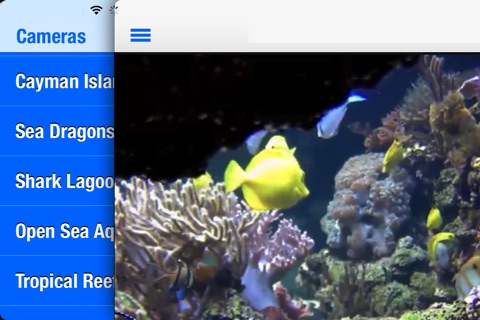 Real Underwater Live Streaming Cams screenshot 2