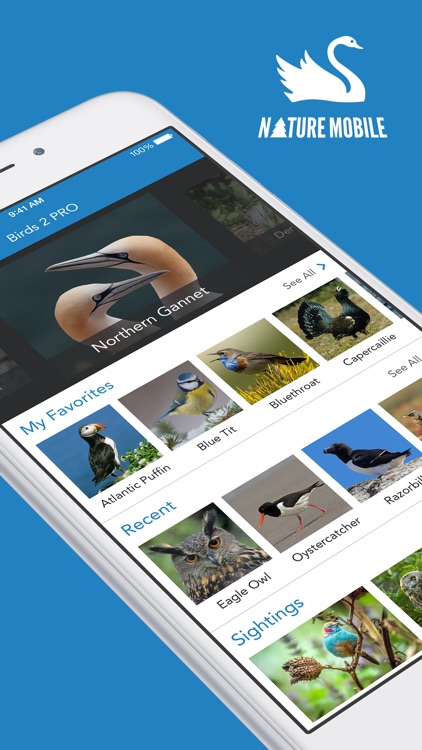iKnow Birds 2 PRO - The Field Guide to the Birds of Europe