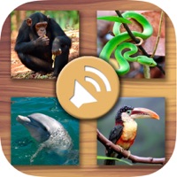 Animal Sounds – Sound Library for PC - Free Download: Windows 7,10,11  Edition