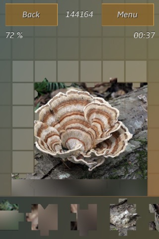 Mushrooms Jigsaw Puzzles screenshot 2