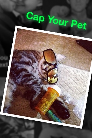 I'd Cap That® PRO - Add Funny Captions and Text to Photos screenshot 4