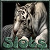 ````` 2015 ````` Aaby Safari Slots-Free Game Casino 777