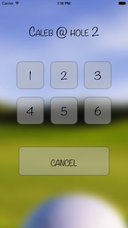 Mini Golf Score Card Free screenshot-3