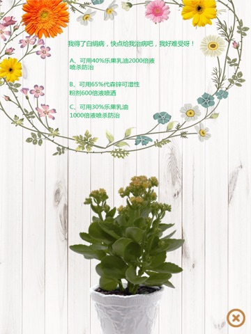 Indoor healthy flowers and plants Growing screenshot 3
