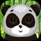 Asian Panda Saving Puzzle 3D