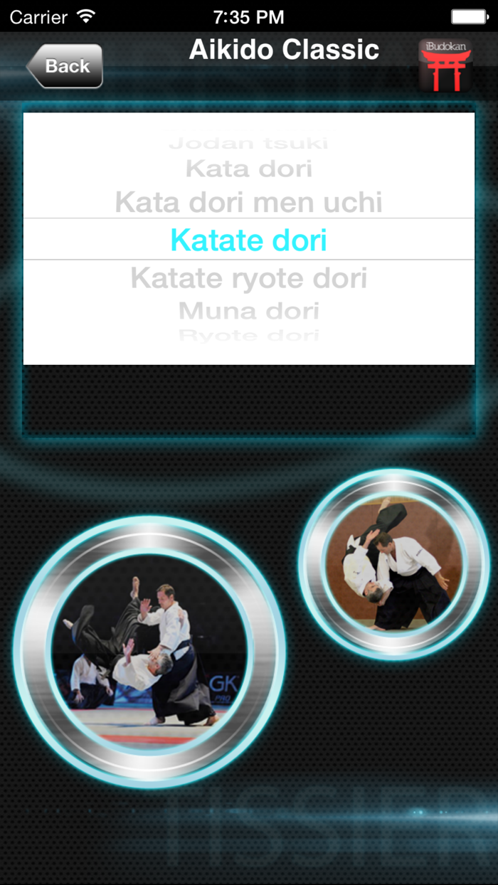 Christian Tissier Aikido