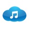 You don't like to copy the music to iTunes