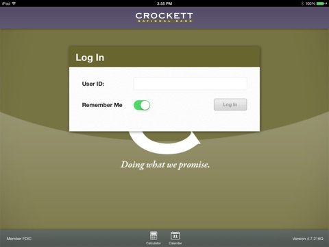 Crockett Mobile Money for iPad screenshot 2