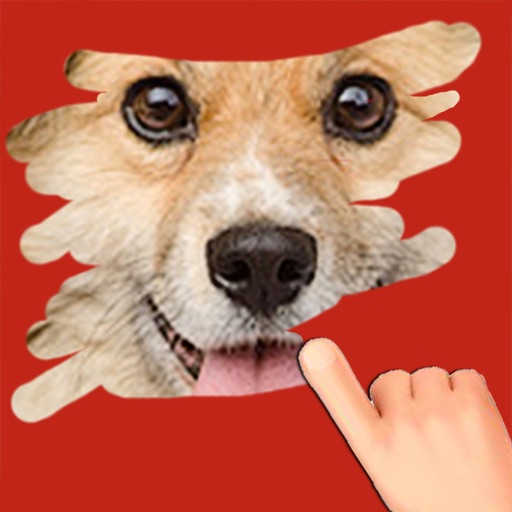 A Pet Game to scratch Hidden Photos, Fun Kids Game Icon