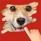 A Pet Game to scratch Hidden Photos, Fun Kids Game