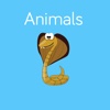 More Animals Flashcard for babies and preschool
