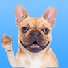 FrenchieLoveMoji Stickers & Keyboard for Bulldogs