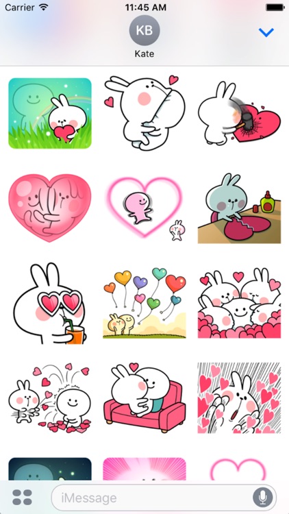 Cool Rabbit Love