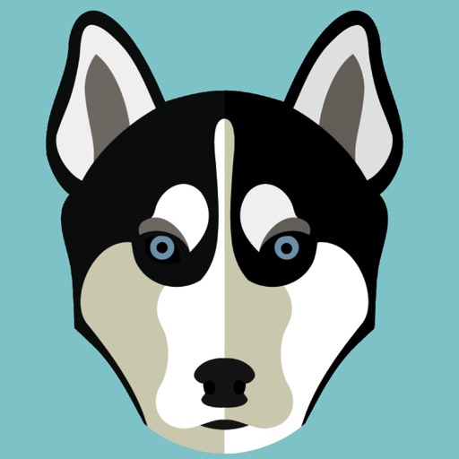My Siberian Husky
