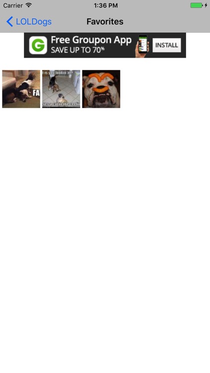 LOLDogs Free - Dog / Puppy LOL & Fail Pics