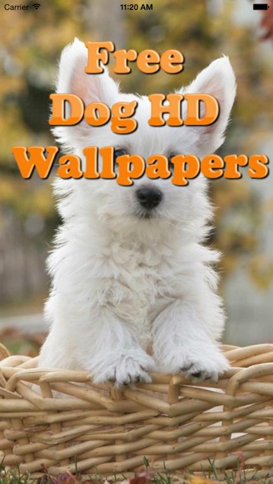 cute dog wallpapers for mobile