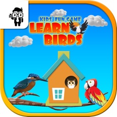 Activities of Kids Fun Game Learn Birds
