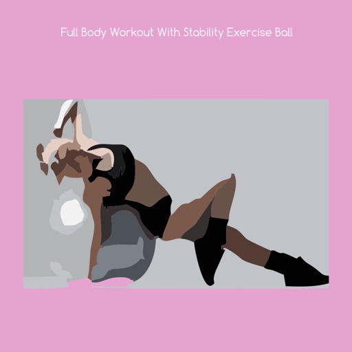 Full body workout with stability exercise ball+