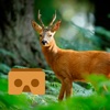 VR Hunting Simulator - VR Deer Hunting