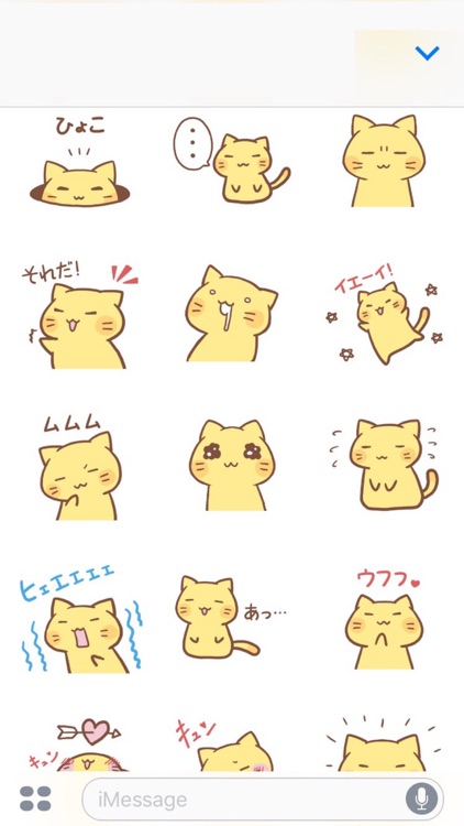 nyanko2