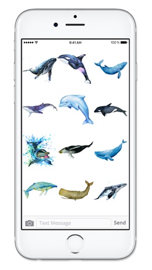 Watercolor Whales and Dolphins Ocean Sticker Pack(圖3)-速報App