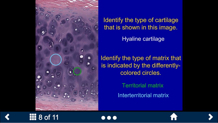 Histology - Musculoskeletal System