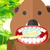 Dentist Doctor Treat Teeth The Beaver