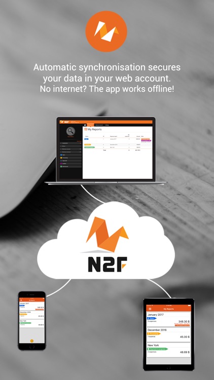 N2F - expense report & mileage screenshot-3