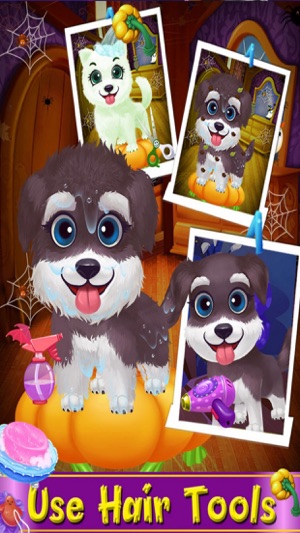 Paw Salon - Hair Puppy Makeover(圖4)-速報App