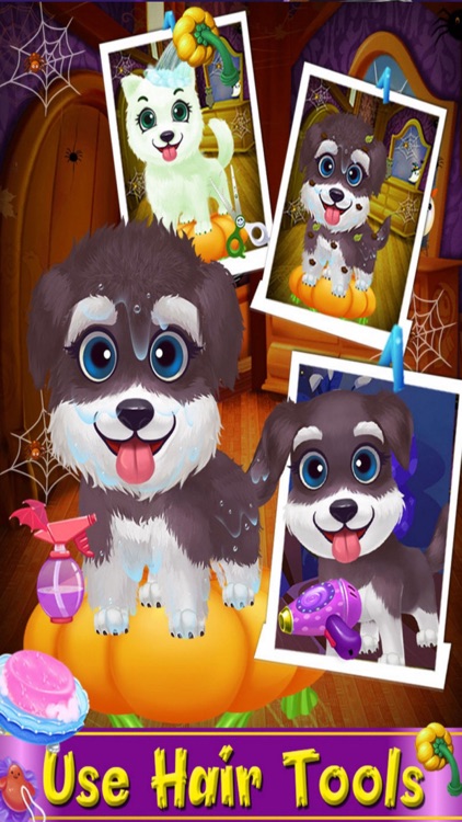 Paw Salon - Hair Puppy Makeover screenshot-3