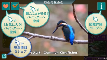 GPS動く野鳥図鑑400 screenshot1