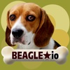 Beagle io (opoly)