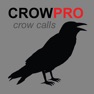 Get Crow Calls for Hunting for iOS, iPhone, iPad Aso Report