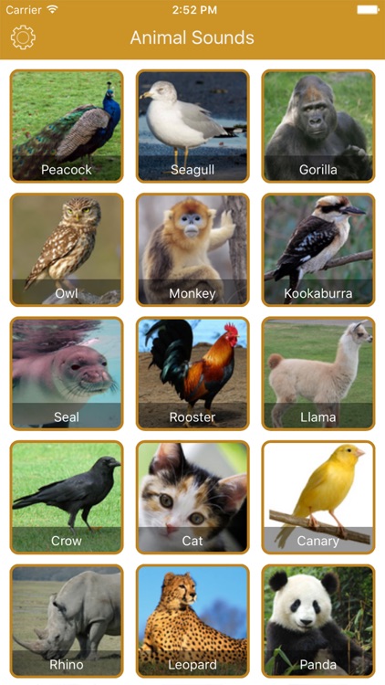 Animal Sounds - New Voice Effects