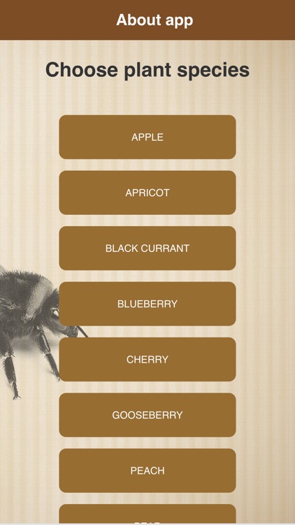 Bee Calculator