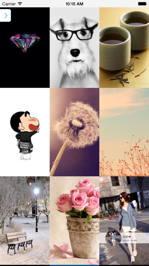 壁纸:超高清手机主题墙纸 app 截图