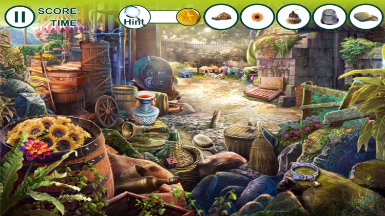 hidden object: The enchanted city