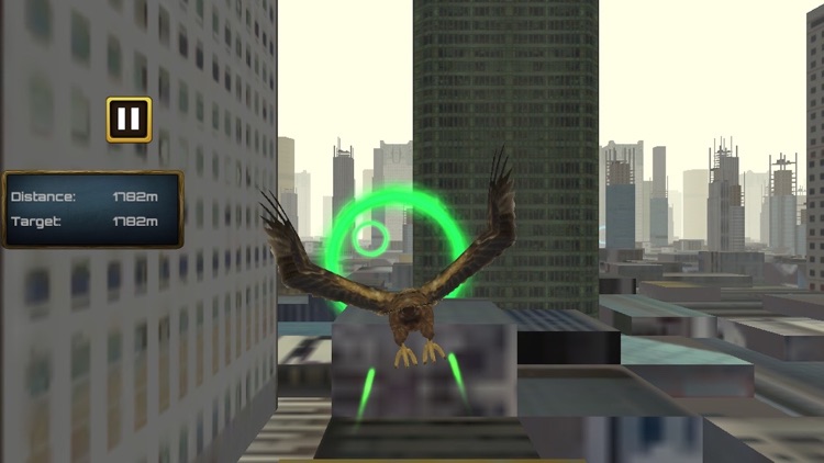 Birds Flight Simulation 3D