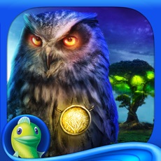 Activities of Reflections of Life: Tree of Dreams - Hidden Game