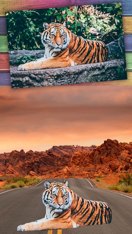 Cut paste photo editor – stickers for photos