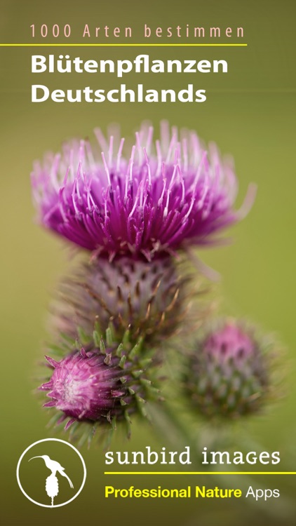 Blütenpflanzen Deutschland Blumen, Sträucher Bäume