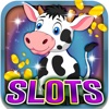 Lucky Pig Slots: Be a farming club gambling master
