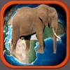 Filler Dünyası