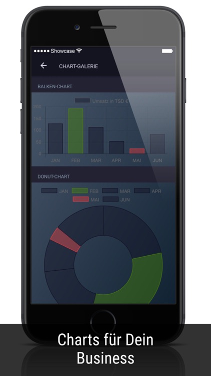 Showcase Software Pioniere