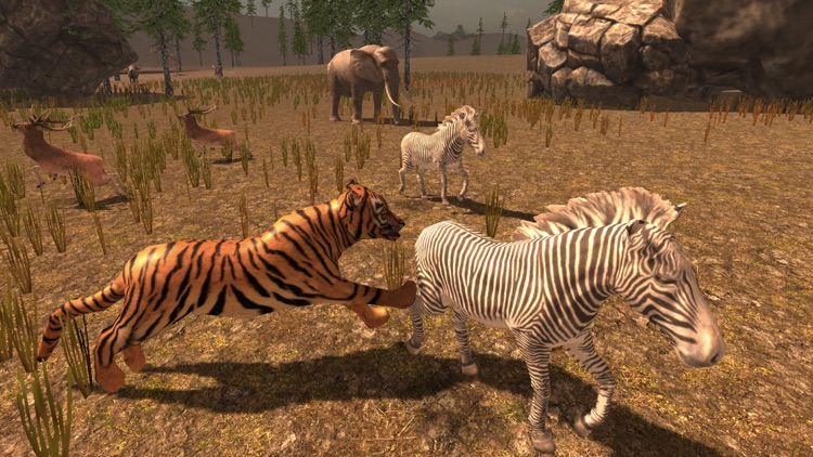 Tiger Simulator 2017 screenshot-4